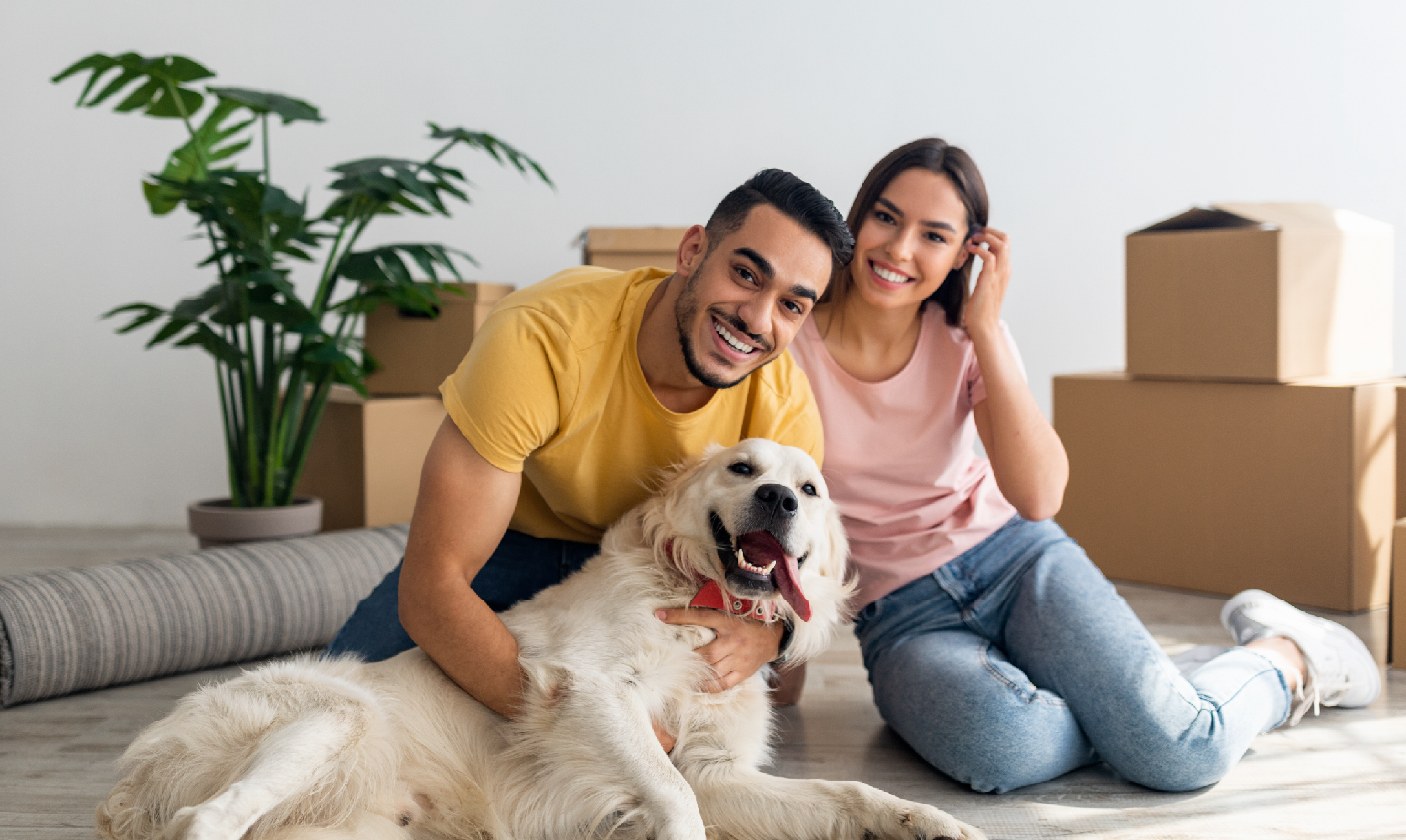 Couple with dog and boxes HEADER kid playing football