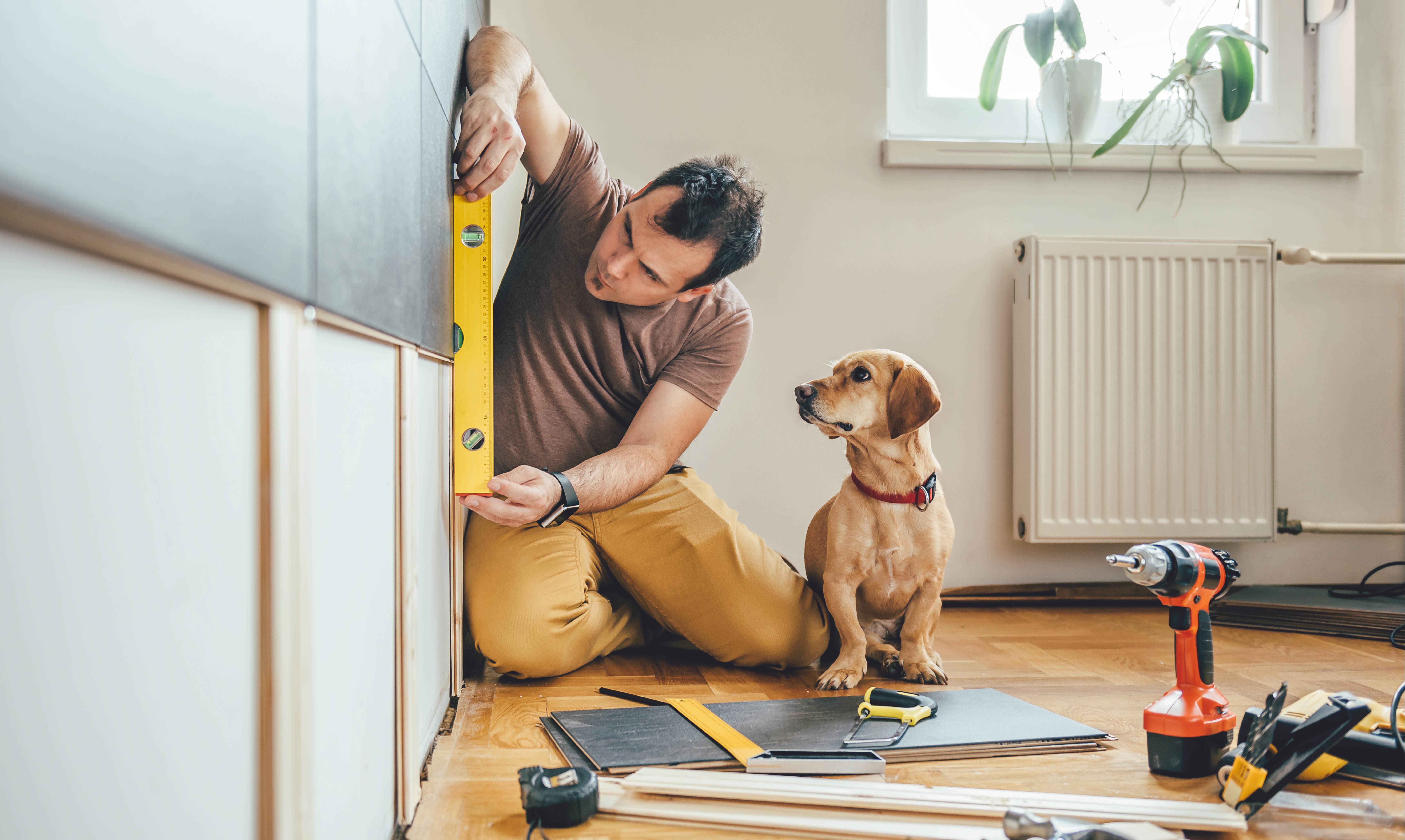 website temp-16 man doing home repairs with dog